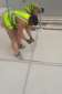 Affordable Waterproofing Services in UAE
