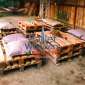 pallets 0507330544 wooden